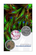 Cell and Molecular Biology poster with closeup of fluorescent cells