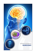 Neuroscience poster with illustration of glowing brain inside head of transparent human