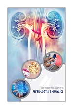 Physiology poster with illustration of cutaway view of kidneys