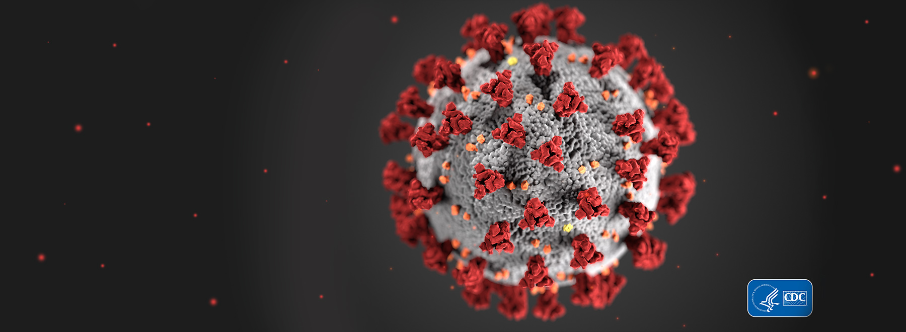 Coronavirus molecule.