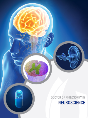 Illustration of transparent person with visible brain and brain stem. Three bubbles next to the person contain images of the outer and inner ear, a cutaway view of a nerve, and a brain in a capsule. Text on the bottom right reads, "Doctor of Philosophy in Neuroscience."