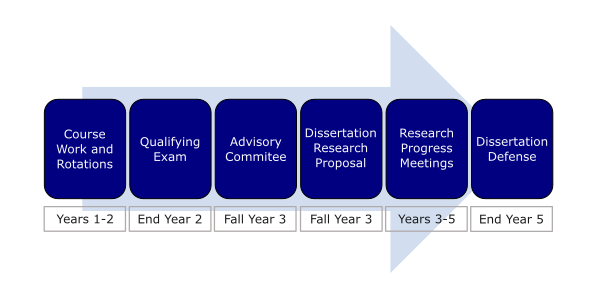 PhD Program Course of Study Timeline. Read the image long description for specifics.