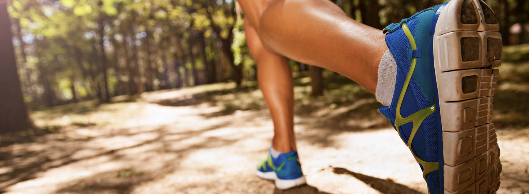 Two legs running down a wooded path