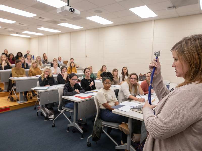 Nursing students participate in a class.
