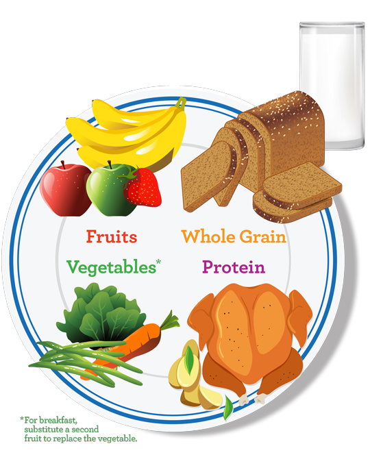 Plate with food groups