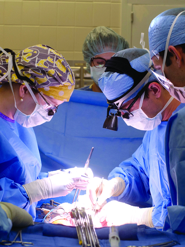 Dr. Mark Earl, right, assistant professor of surgery, and Dr. Katie Moore, left, chief resident in surgery, perform Smith’s transplant.
