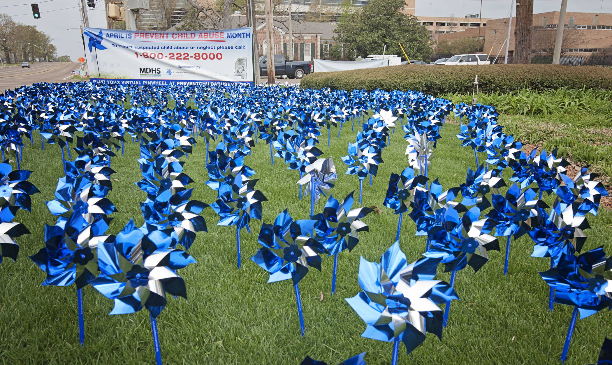 Volunteers planted more than 1,000 pinwheels near UMMC on April 1 in recognition of Child Abuse Prevention Month.