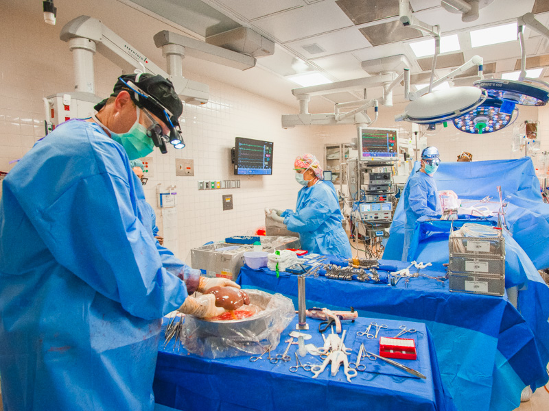 As Dr. Mark Earl (back, right) watches, Dr. Christopher Anderson gently lifts the donated liver to be transplanted into patient Dennis Mitchell. Surgery tech Alana Lowe (center) assists.