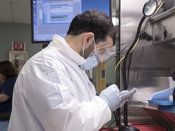 Dr. Anas Bernieh, first-year pathology resident, examines specimens in the surgical pathology lab. Students in the new pathology master's degree program will complete rotations in this lab and others at UMMC.