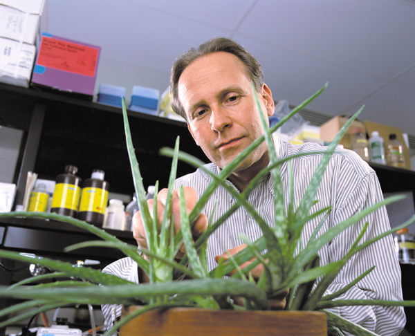 Dr. David Pasco leads the cancer drug discovery core in its mission to find new medicines from botanicals.