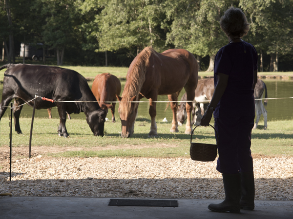 The farm in Terry has allowed MacSorley to provide for her children a taste of her own childhood.