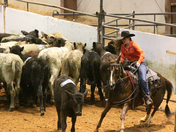 Dean rides Remi to take the gold medal in the AQHA Amateur World Championships in Oklahoma City. Photo courtesy of Charlette Robinson of Action Shots N More.