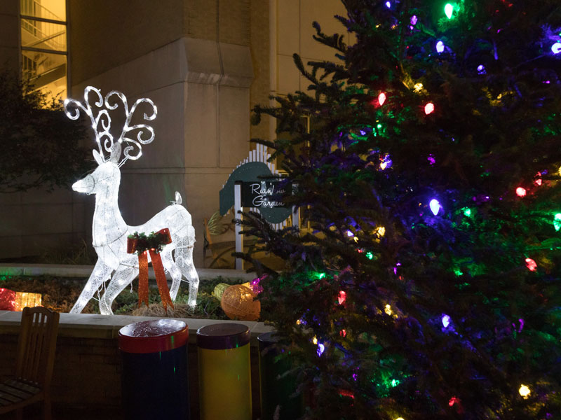 The Rainbow Garden between Batson Children's Hospital and Wiser Hospital for Women and Infants is aglow for the season with reindeer, a Christmas tree and other holiday decorations.