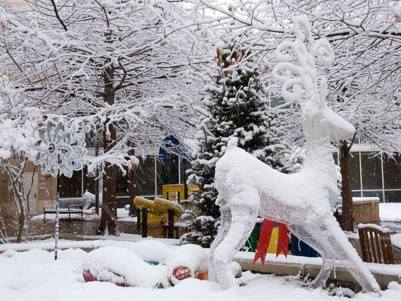 The Rainbow Garden glistens with frosty wonder.