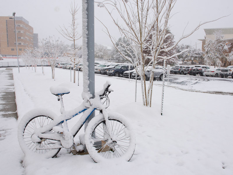 The night crew emerged from shift change to find all modes of transportation as close to "snowed in" as Mississippi gets.