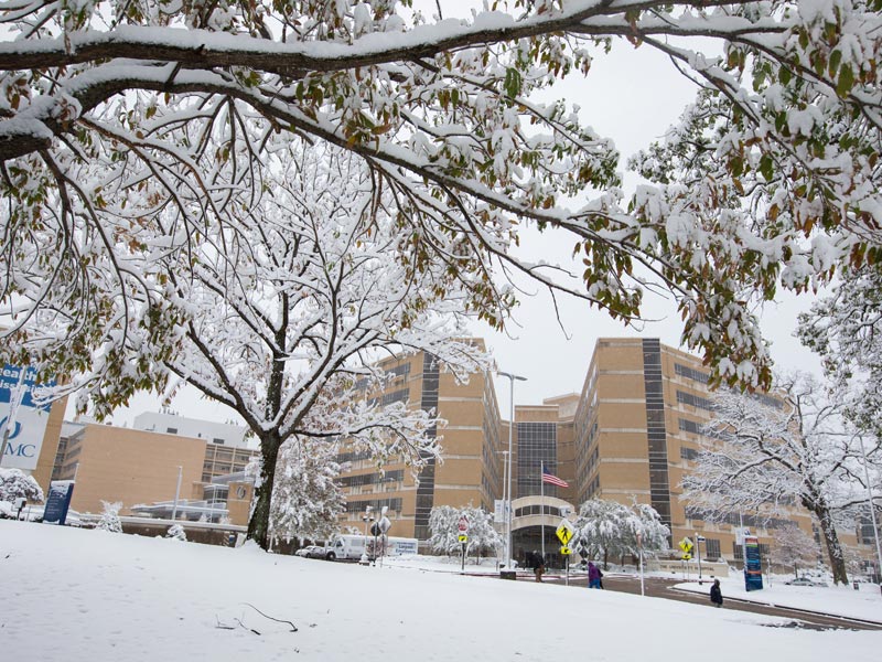 ummc-snow-04.jpg