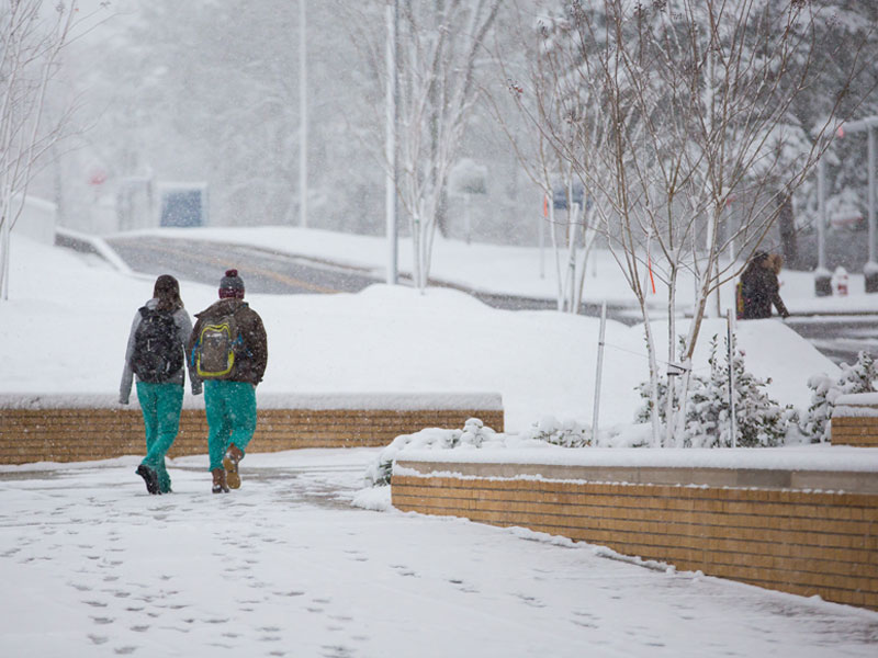 Second-year dental students make their way across the snowy campus.