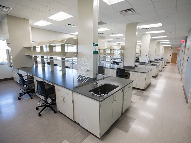 The Neuro Institute's laboratory space is designed facilitate the sharing of ideas and innovations in order improve treatment for addiction, neurotrauma and stroke.