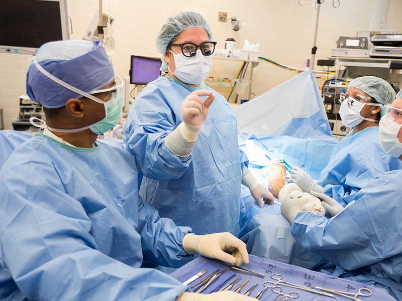 Koller, second from left, requests an instrument during a recent surgery.