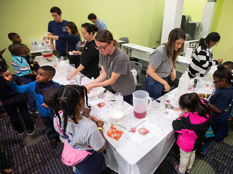 Ph.D. students in cell and molecular biology guide Pecan Park Elementary students through DNA extraction demonstrations.