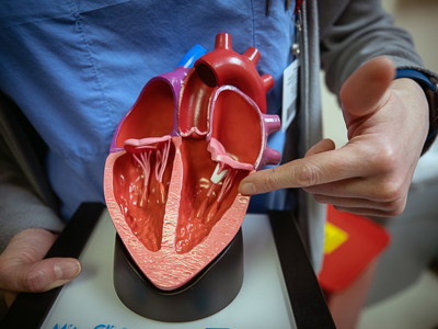 Dr. Kellan Ashley with a model of a heart.