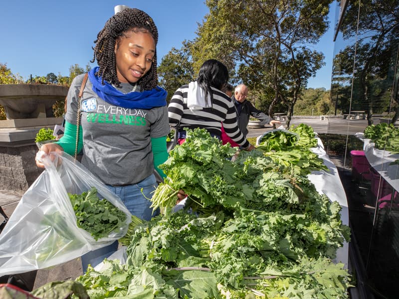 Ivory Stuckey, an administrative assistant and UMMC Wellness Champion, shops for kale at a November 2018 Farmer’s Market at the Clinton Billing Office.