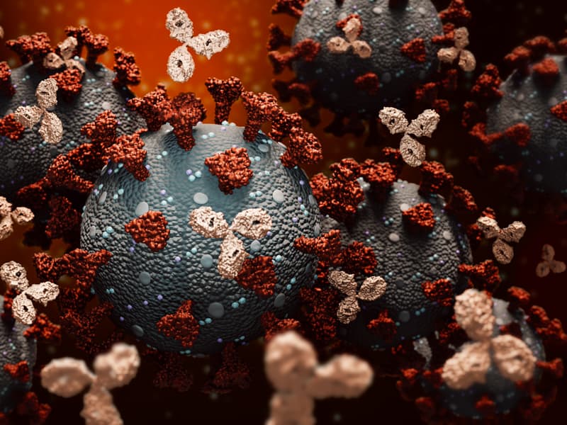 Antibodies are the body's defense system against viruses like the novel coronavirus. However, we don't know yet how effective they are in fighting infection. UMMC researchers are trying to find out. (Getty Images)