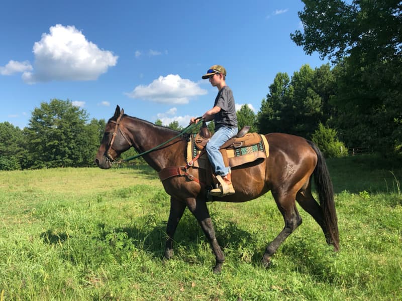 Hunter Lindsay now can enjoy holding the reins of his horse Dakota.