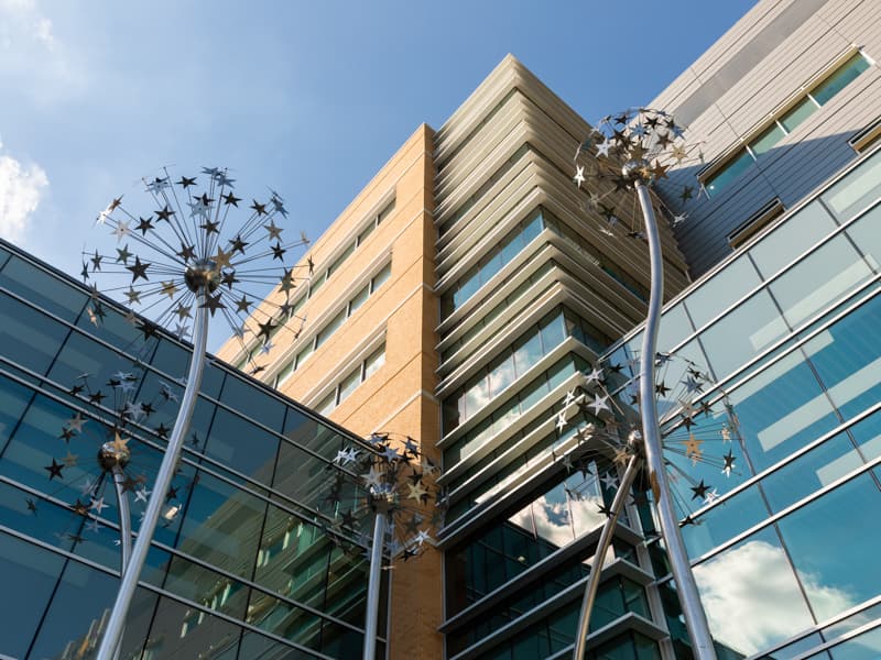 Giant dandelion sculptures, ready for wishes, stand outside the Kathy and Joe Sanderson Tower at Children's of Mississippi.
