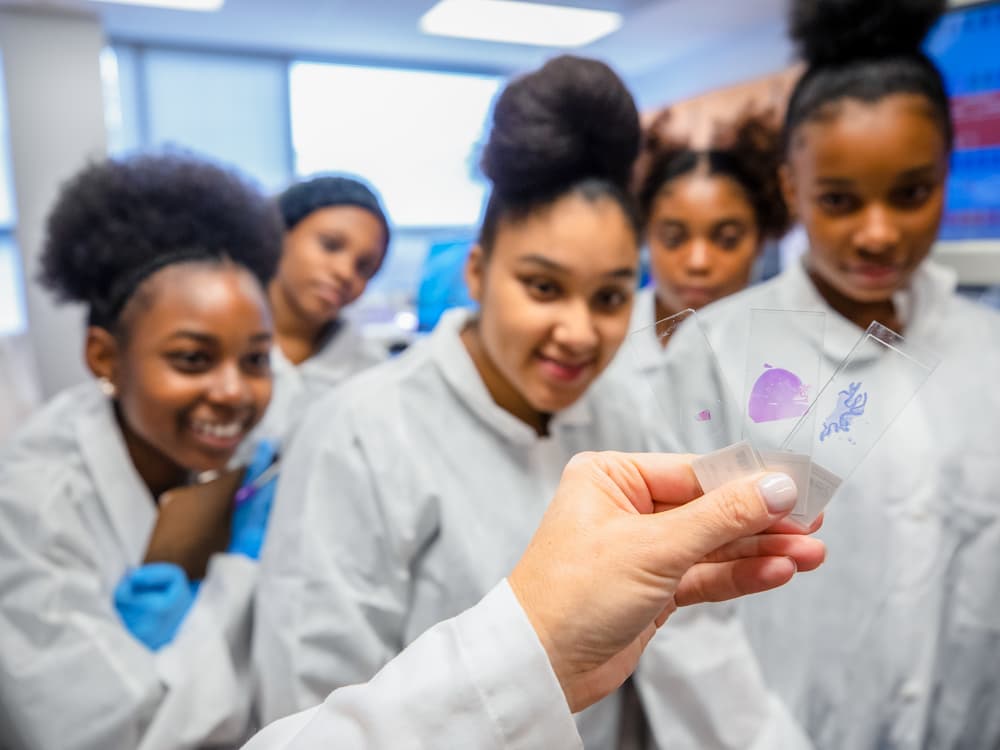 Lanier students inspect slides (tissue) at the final stage of processing, ready for examination by a pathologist.