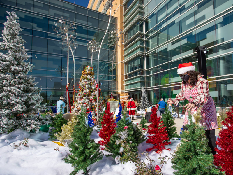 BankPlus volunteer Katie McRae sets up trees for Children's of Mississippi patients at BankPlus Presents Winter Wonderland.