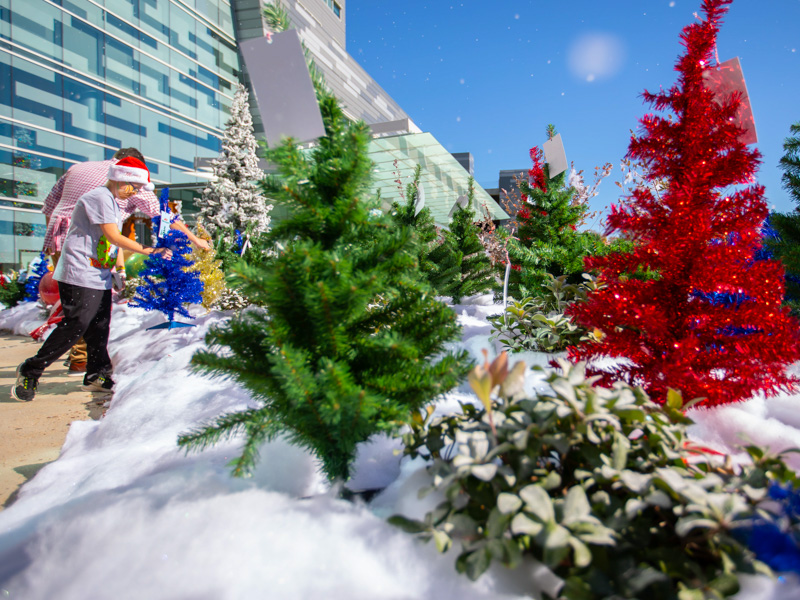 Children's of Mississippi patient Ryder Jackson of Long Beach picks out a Christmas tree at BankPlus Presents Winter Wonderland.