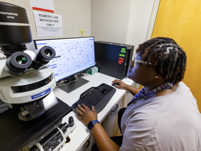 SURE student Micaiah McDonald performs research involving kidney function as part of a 10-week summer program at UMMC. Jay Ferchaud/ UMMC Communications 