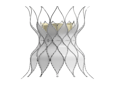 The Edwards SAPIEN 3 transcatheter valve with an Alterra adaptive present was approved by the FDA Dec. 20, 2021. Children's of Mississippi is one of a few select children's hospitals with access to the valve.