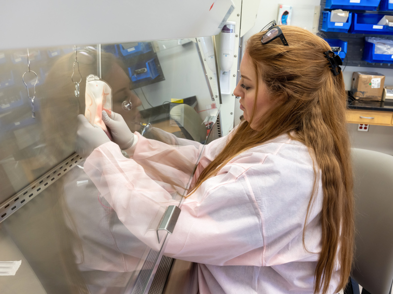 Bone Marrow Transplant laboratory scientist Diane Cone prepares stem cells for transplant into a patient. Jay Ferchaud/ UMMC Communications