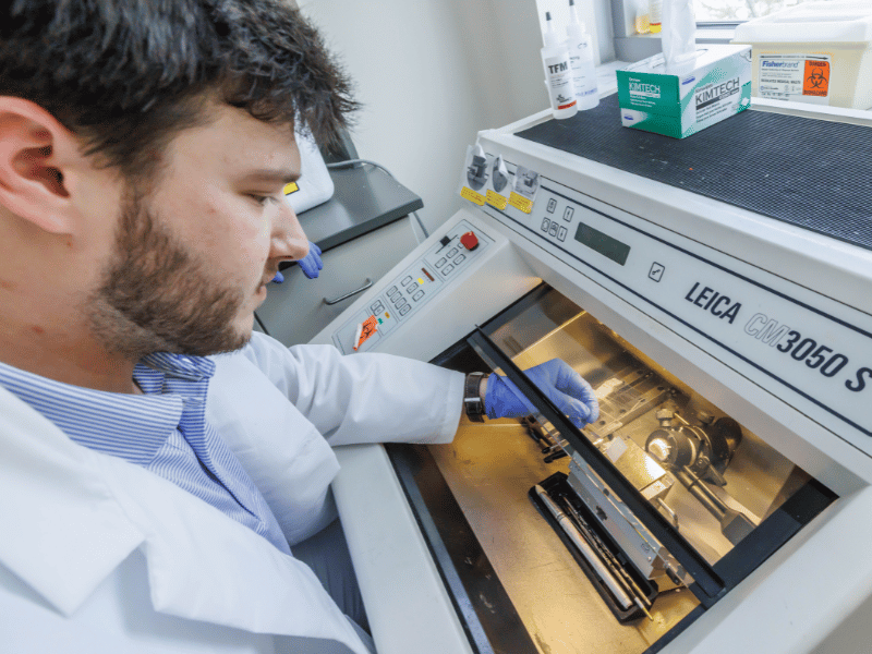 Researcher II Conner Simmons prepares hippocampus samples on slides.