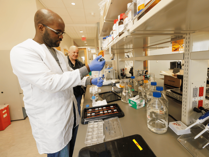 Researcher IV Obie Allen conducts immunohistochemistry on human postmortem brain samples as Pantazopoulos observes.