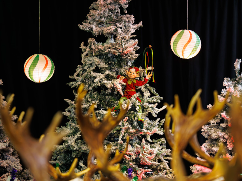 An elf waves hello from a Christmas tree during BankPlus Presents Winter Wonderland and Ace Tree Farm. Melanie Thortis/ UMMC Communications