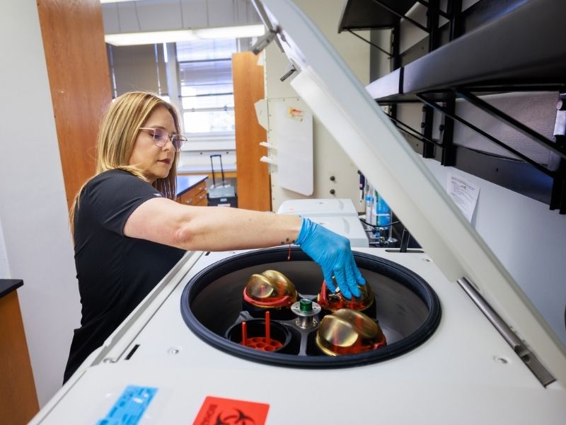 As part of the specimen preparation process for the UMMC Biobank, research associate Yelena Neely loads blood samples into a centrifuge.