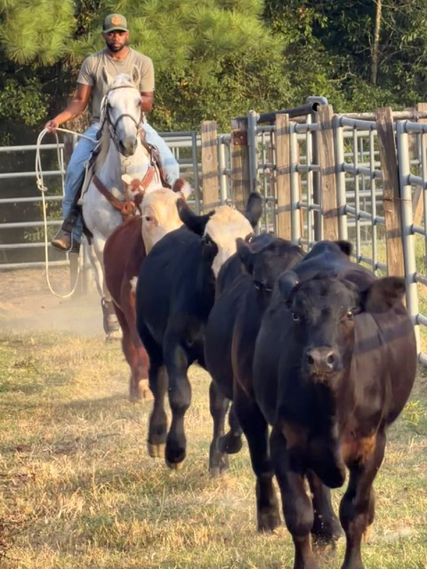 In addition to pursuing veterinary medicine, Young envisions turning his passion for horseback riding into a rodeo career, with interests in calf roping, barrel racing and competing in cutting horse events.