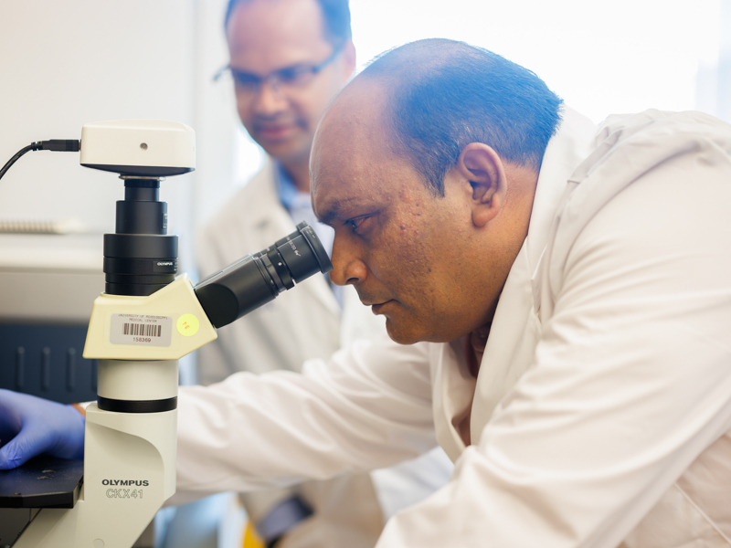 Dr. Jawed Siddiqui peers into the inner workings of prostate cancer cells inside his lab at the UMMC Cancer Center and Research Institute.