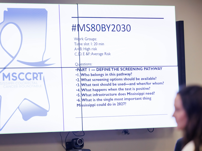 Brainstorming sessions were part of the launch of 80x2030 at a meeting of the Mississippi Colorectal Cancer Roundtable.