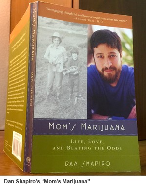 Dan Shapiro Mom's Marijuana