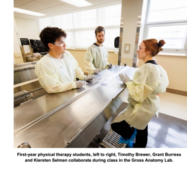 First-year physical therapy students, left to right, Timothy Brewer, Grant Burress and Kiersten Selman collaborate during class in the Gross Anatomy Lab.