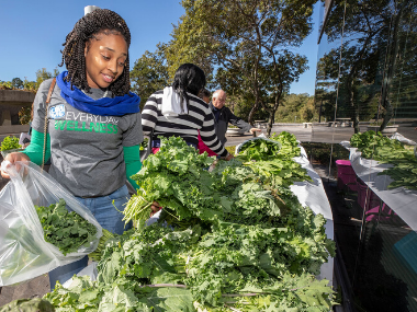 Girl examines fresh vegetables at an outdoor farmers market.