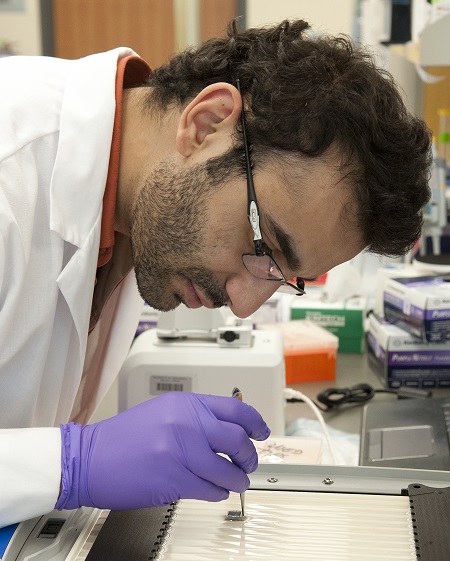Closeup of a researcher working in a laboratory.