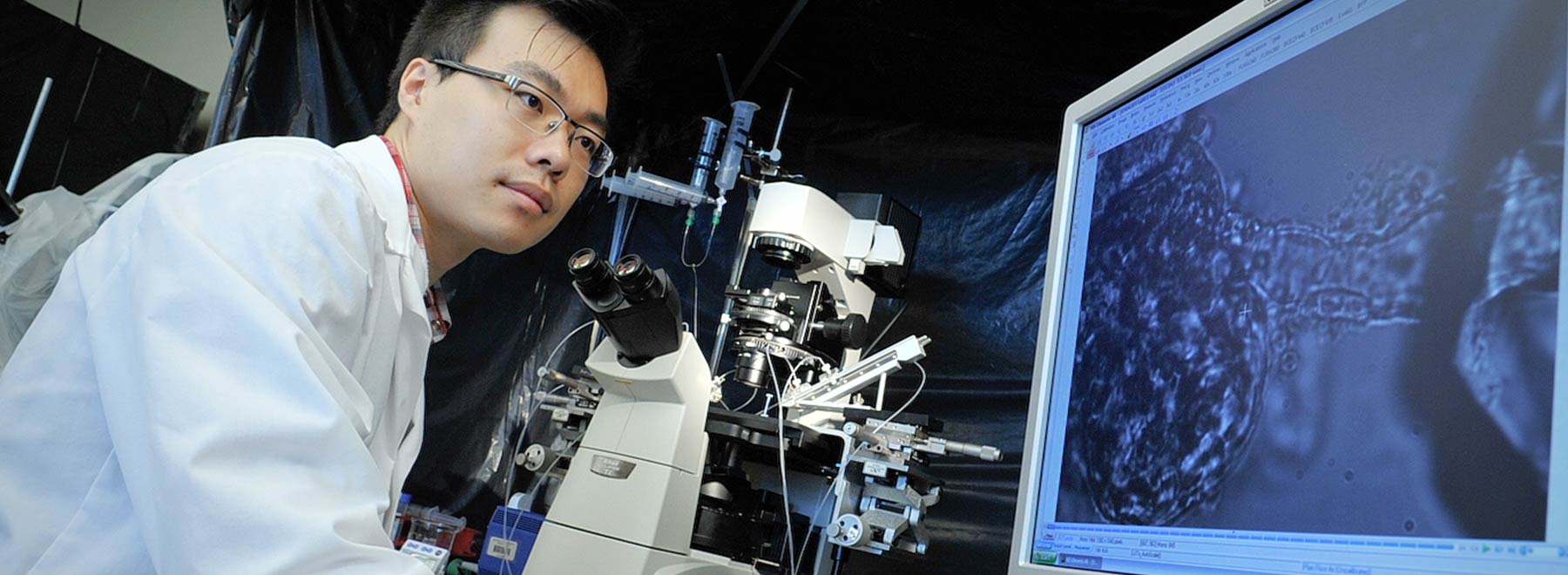 Researcher looking at microscope findings on a monitor. Researcher looking at microscope findings on a monitor.