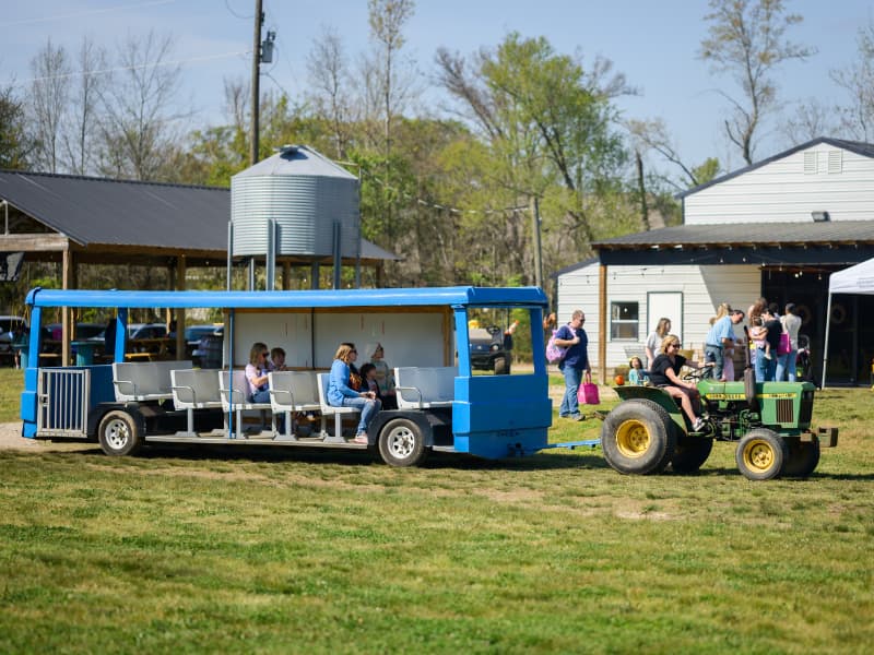 Guest enjoy a tractor ride at Family Fun Day 2026.