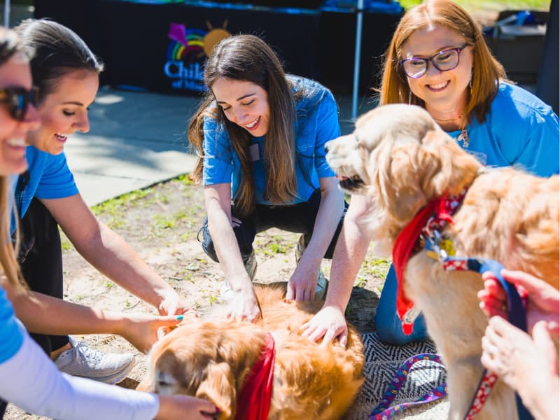 A group of people with dogs at Family Fun Day.