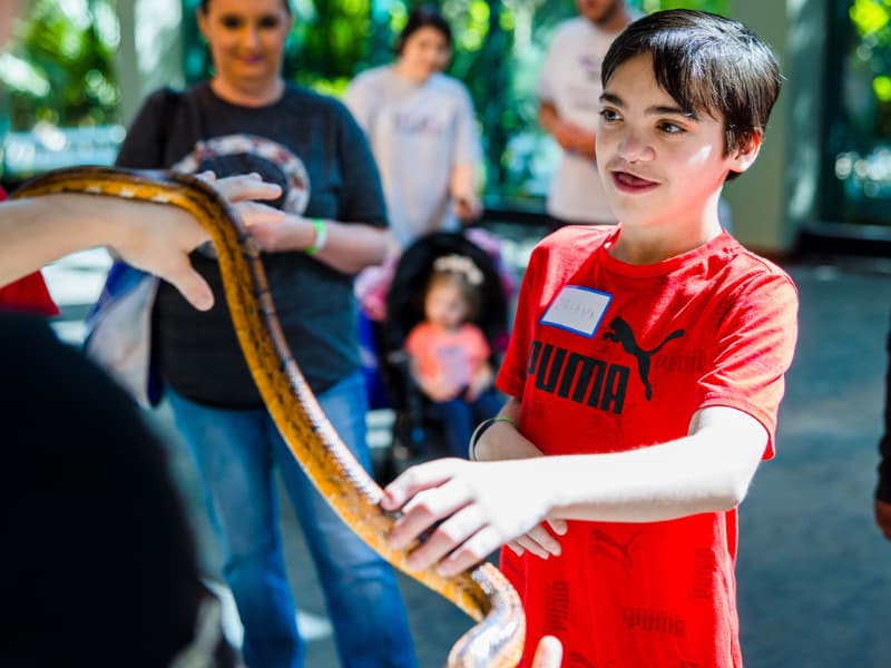 A boy in a red tshirt examines a snake at Family Fun Day
